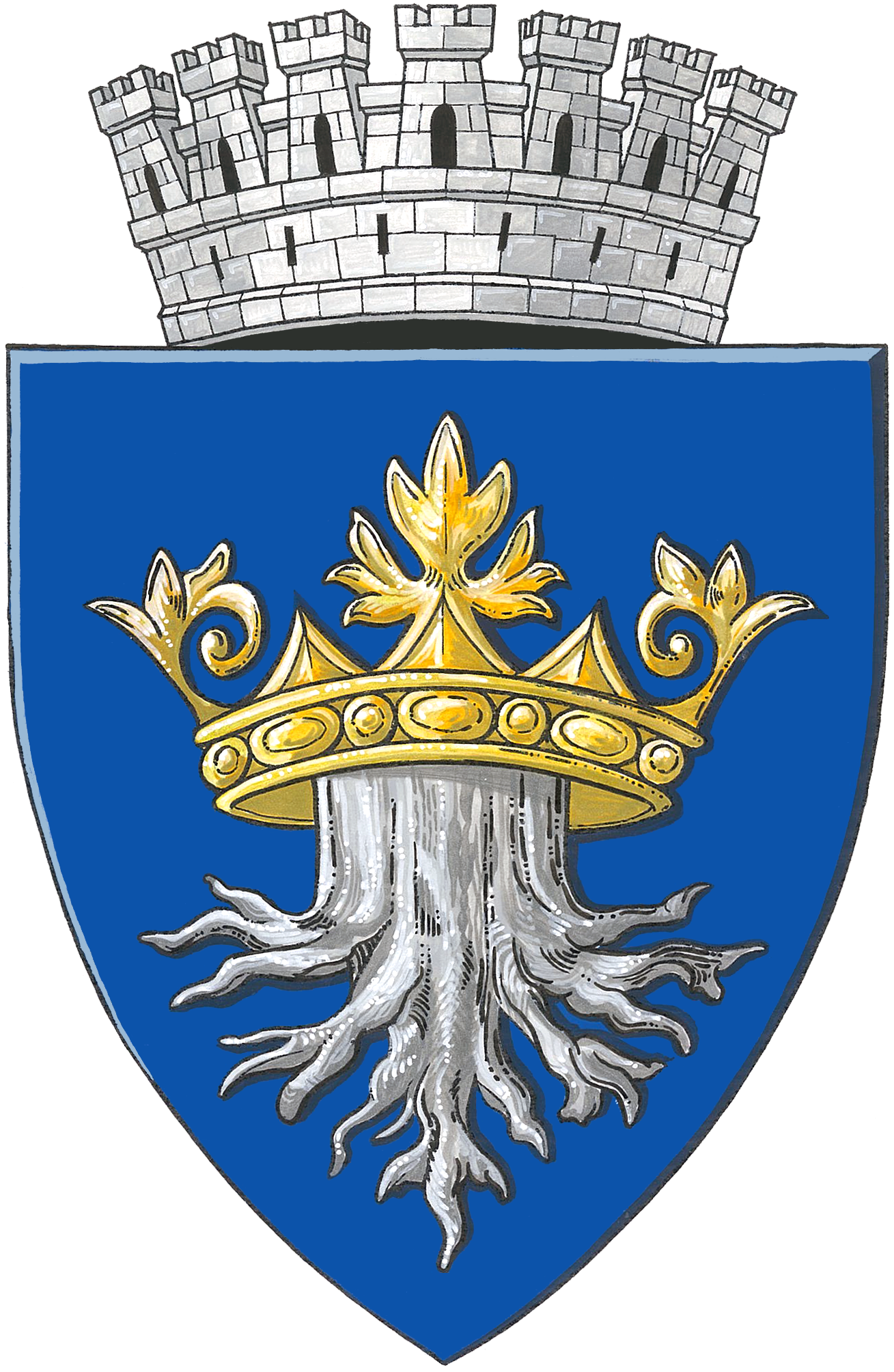 Primăria Municipiului Brașov logo